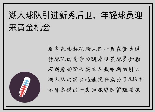湖人球队引进新秀后卫，年轻球员迎来黄金机会